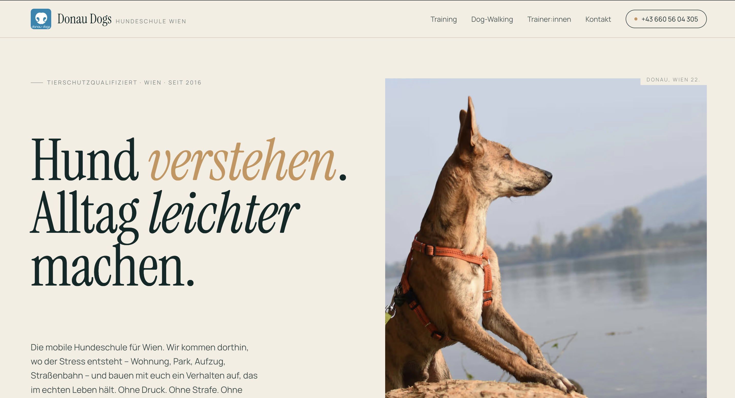 Vorschau der Website Donau Dogs